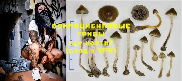 ГАЛЛЮЦИНОГЕННЫЕ ГРИБЫ Лихославль