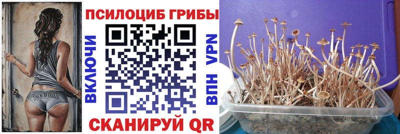 Галлюциногенные грибы мухоморы  Мариинский Посад 