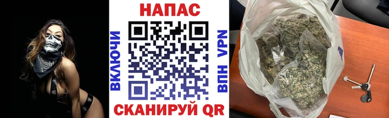 MEGA   Мариинский Посад  Канабис планчик 